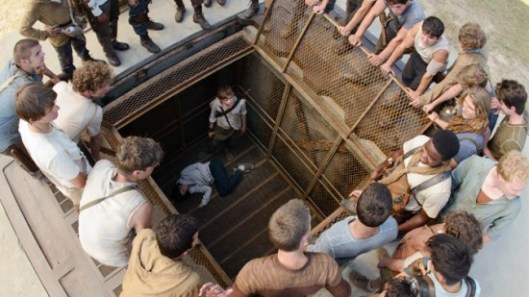 "Well, we've got one female now. Seems like a good start." "...Newt, do you even math."