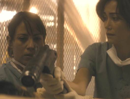 Dr. Exner:  "She'll turn, Liza, and we don't want her to turn.  Right, friendo?"