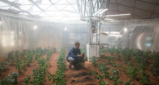 the-martian-potatoes