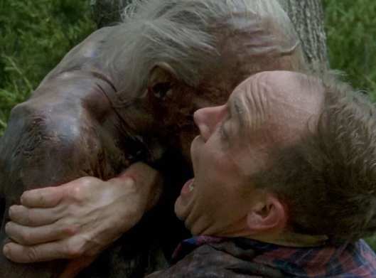 the-walking-dead-first-time-again