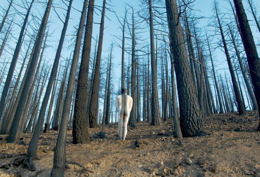 10_ArtbyJean-PaulBourdier1_California_PhotoVelcrowRipper